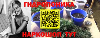 прущие грибы Кунгур
